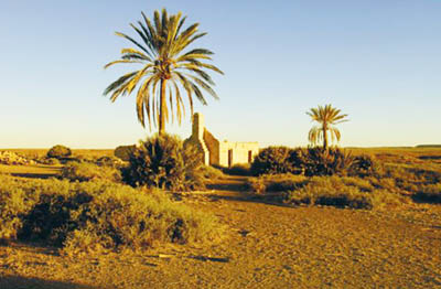 Witjira National Park near Oodnadatta