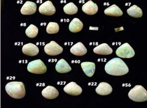 A tray of opal shells stolen in the heist